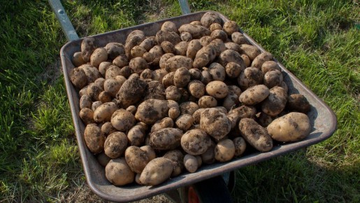 ��������� ��� ���: ������� ������