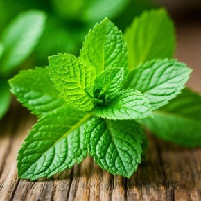 ���������� ������ �����: ����� ������� ��� ���������