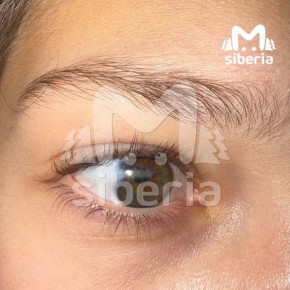 Следком поставил точку – родители не согласны