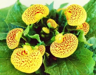 ������������: ��� ��������� ���������� ��� ���� � ����� ����