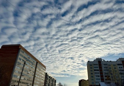 Доброе утро, омичи!. 22 января отмечается сразу несколько праздников: День авиации войск ПВО РФ, День птиц и День дедушек
