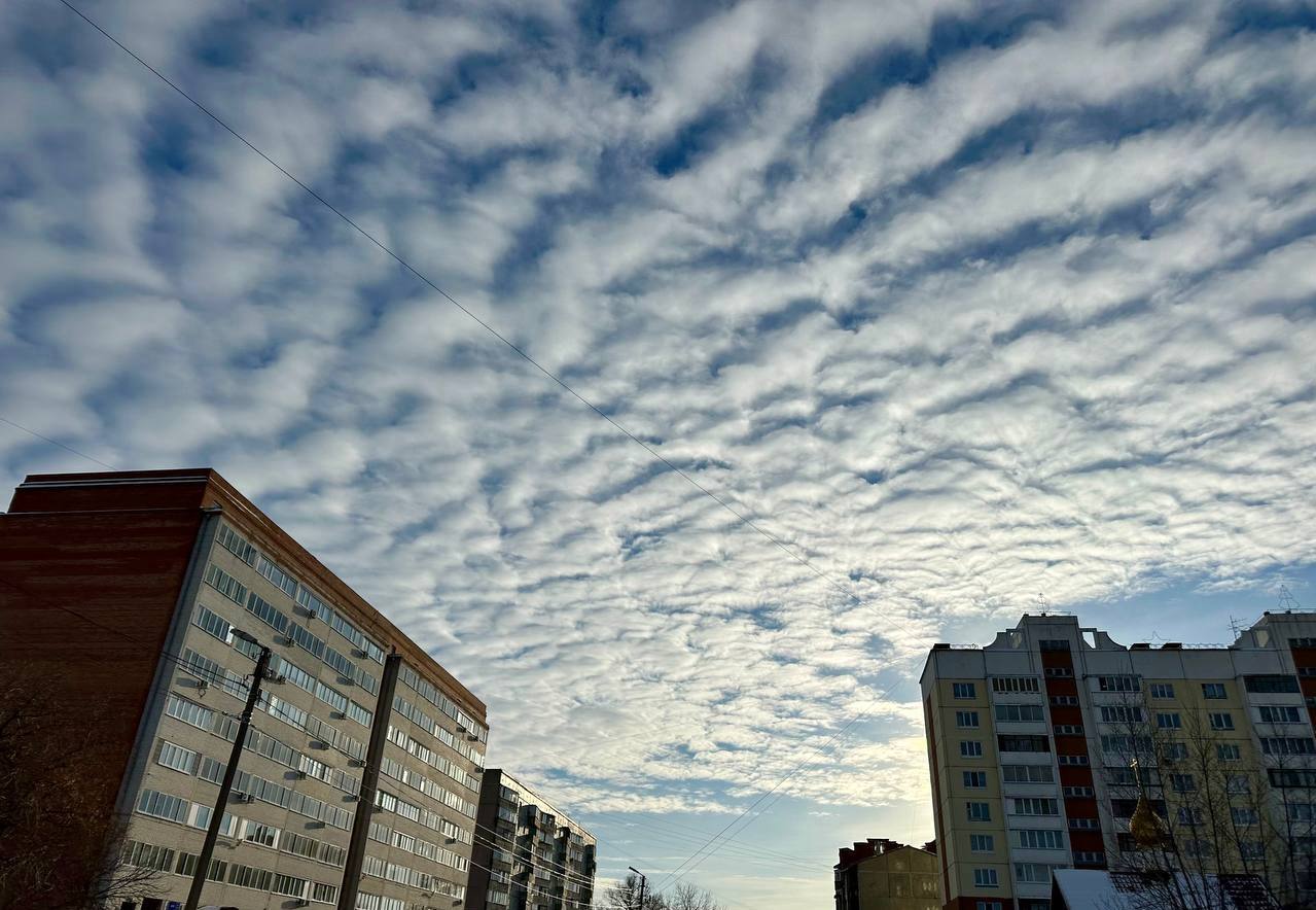 Доброе утро, омичи!. 22 января отмечается сразу несколько праздников: День авиации войск ПВО РФ, День птиц и День дедушек