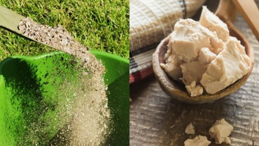 �� ����� � ������������: ��� ��������� ����������� �������� ������