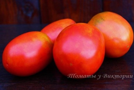 ���� ��������: ������� ������ ��� ������ ���� � ������ ���������