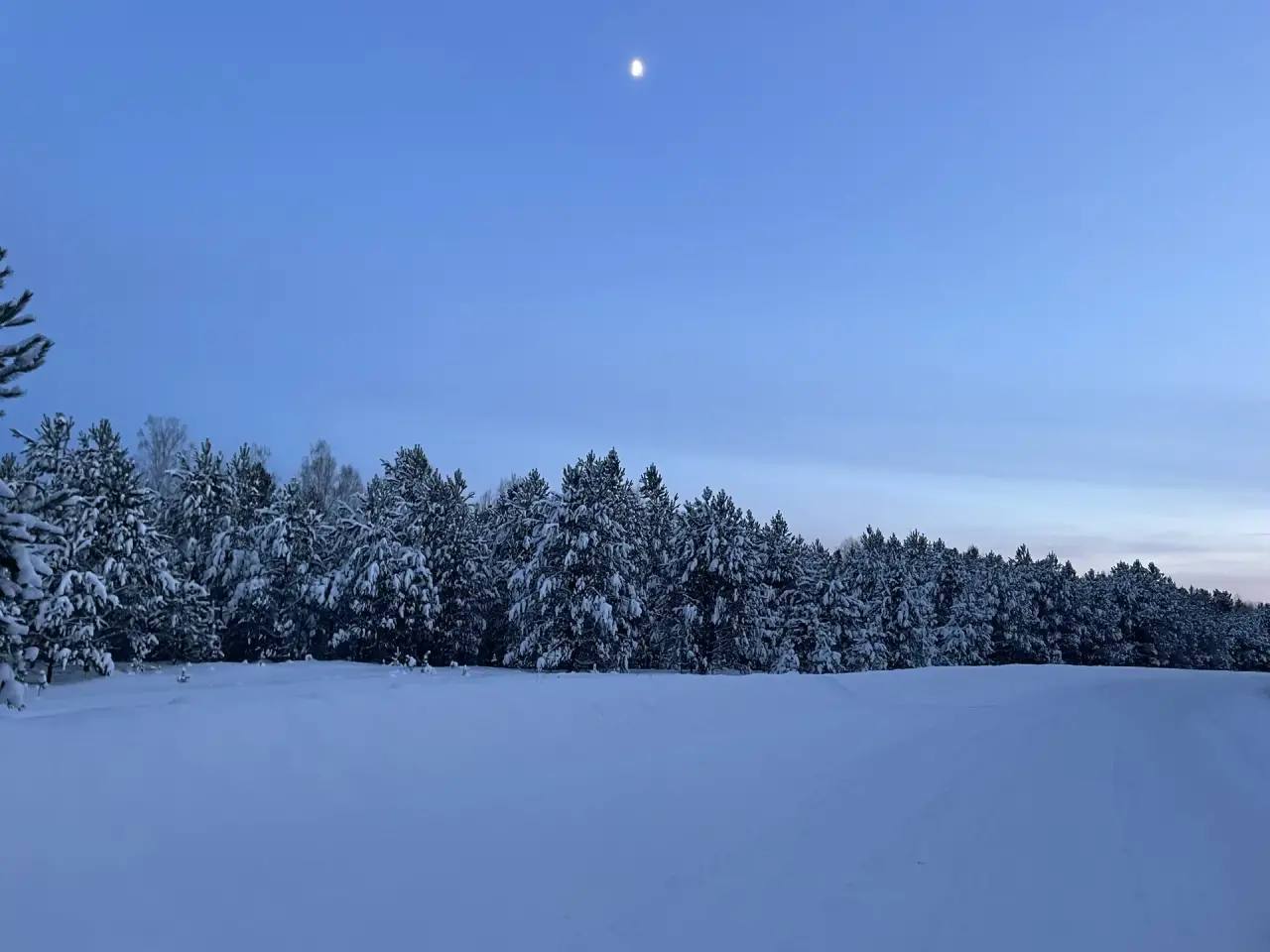 Сегодня в Омске –29,5°C утром