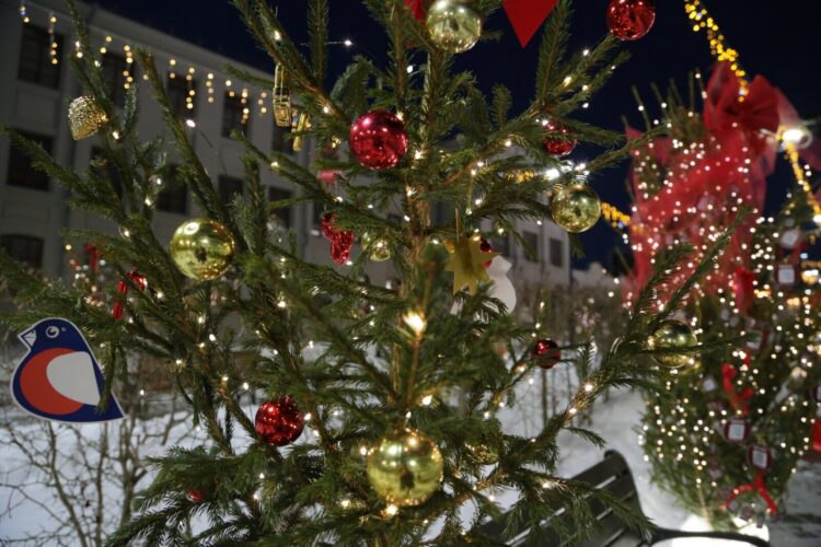 День студента на Зимнем Любинском переносят на 31 января