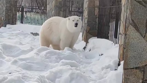 ���� �� ������� � ������� � ��������� ������ ��� �� �������� �� �����, ����� ��������� ����� �� ���������������� �������� ����� ������������ ��������