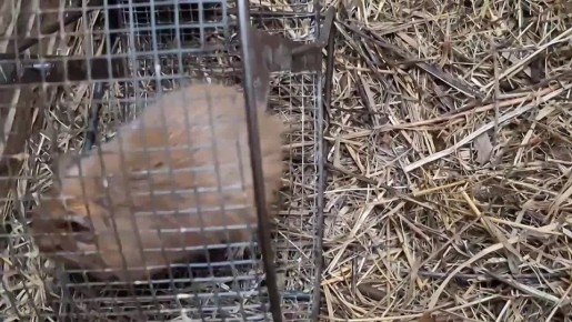 ��������� ������ ���� ����� ������� ������ ���������� �� ���������� ����