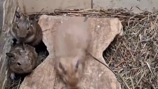 ������ ���� � �������� �����