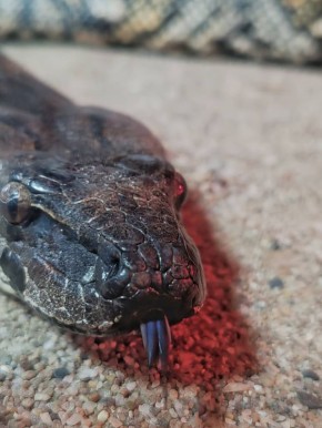 ����� �������� �� ���������: ����� � ������ �������� � ���������