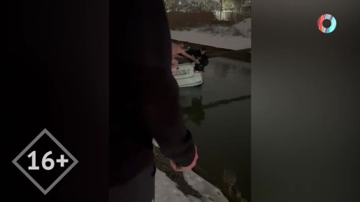 О том, что удивило, поразило и заставило смеяться весь мир за прошедшую неделю