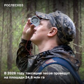 В 2026 году в план проведения лесоустройства включены регионы, где ведется активное лесопользование