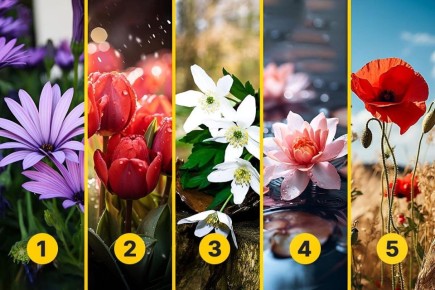 ����� ������ ��� ������� ���������: ������� ���� �� ������� �������