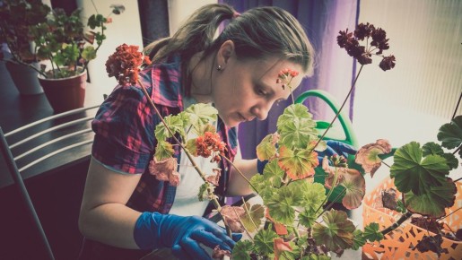 ��� ���� ����������� � ����������� ������� ����� �������� ���� �� ���������� ����������