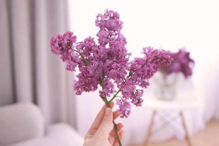 ��� ������� ������ ���� �������� ������ ����� � ������ �� ������ �����