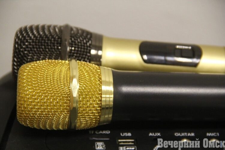 В Омске выступят Ирина Круг и Александр Круг