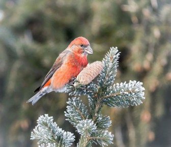 ���� ����� ��������� � ������ ���������� � ������?