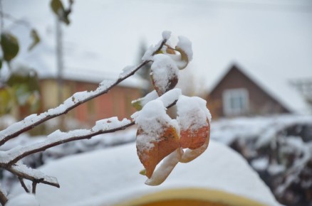 ����, �������� � ����������!