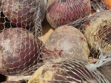 ��� ����� �������� ��� ��� ��������: ���������� ����, ����� ��������� ������ �������