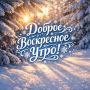 Доброе утро, Омск!. Сегодня 1 февраля, воскресенье Ночью 12°, днём потеплеет до 6° — самое время для спокойного выходного