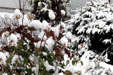 ������� ��� �� ���� � �� ����� �� ��������� ������� ������!