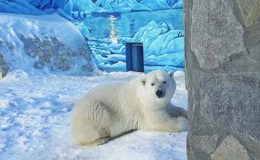 Продолжаем публиковать ссылки на группы учреждений культуры региона в MAX Продолжаем публиковать ссылки на группы учреждений культуры региона в MAX