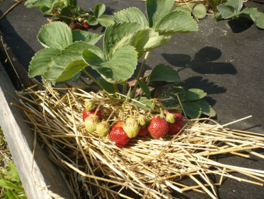 ��� ��������� ������� ���������: ������� �������� ������� ��� �������� ������