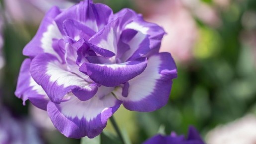 ��� ��������� 200 ������ �� �����: ������� ������������� ������