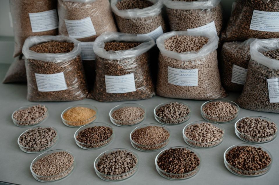 ������ ����������� �� �������� ��������� ������������ ���������� ��������� ����������, �������� ������������ ����������