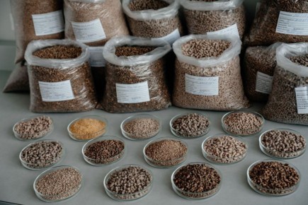 ������ ����������� �� �������� ��������� ������������ ���������� ��������� ����������, �������� ������������ ����������