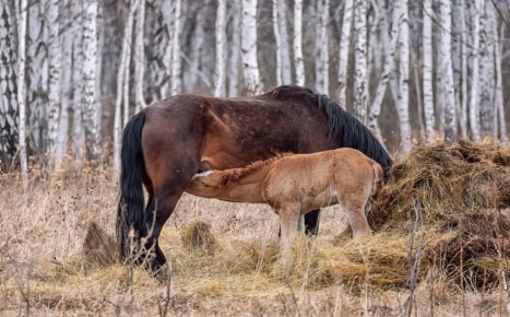 ���� � ������: ��������, ������������ � ����, �������� �����