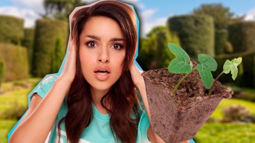 �� ������ ������� � �������: ��� ��-�� ����� ������ ������� ����� ��������