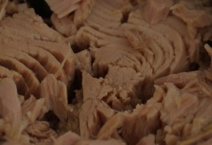 ������������ ���� �� 15 ��� �� ����� �����: ������ ������ �� ��� �� ���������