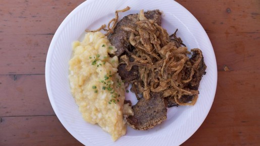 ������� ������ ����� ����� �� ���: ����� ���� ��������� ���� ������� ��� �����