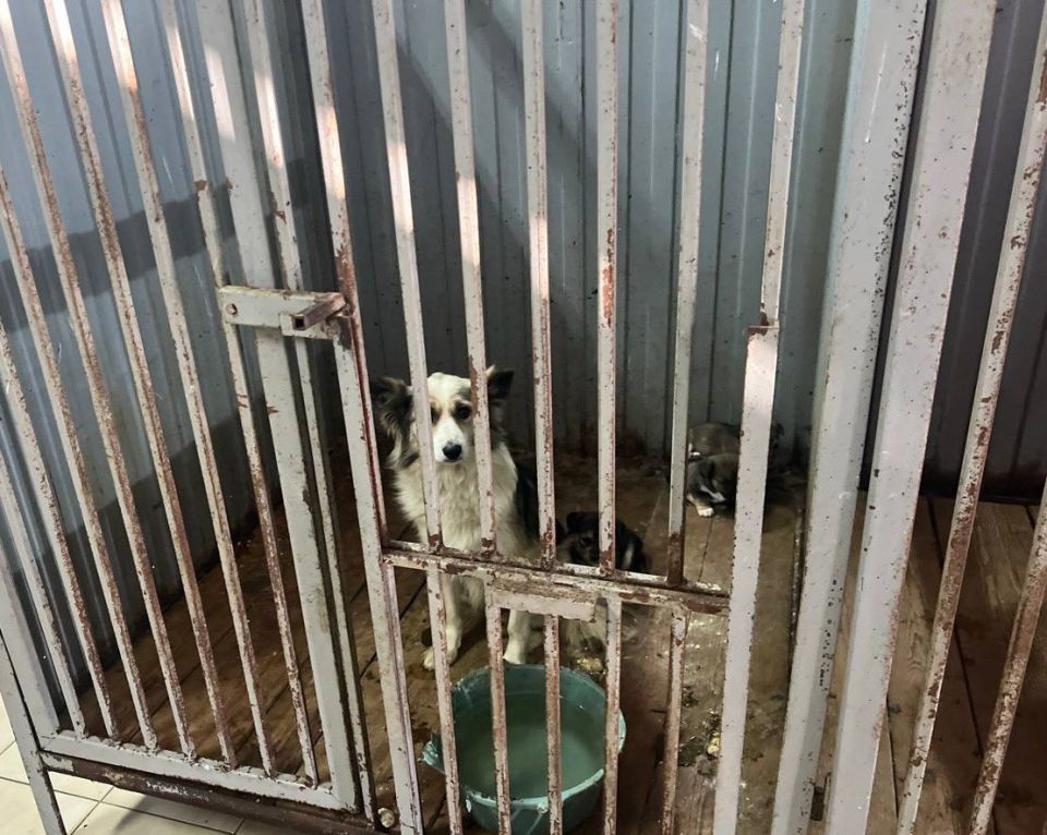 ������ ��������������� ����������� �������� ��������� � ����� ��������� � ������������� ��������� � ������ ���������� �����