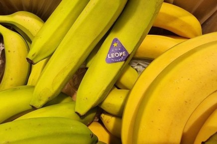 ��� ������� ������, ����� �� ����� � �� �������: ��� �� �����������