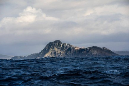 � �������� �������� �� ��������