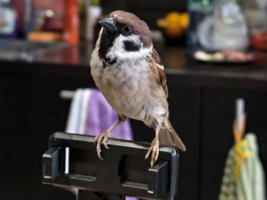 ������� ���� ����� �������� ���� �������� �������� � ������ �����