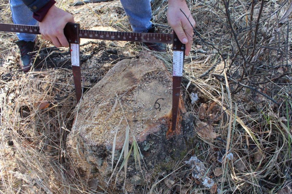 � ��������� ������� �������� �������� ������ �� ���������� ����� ����