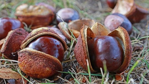 �������: ������� ���������, ������� ����� �����������