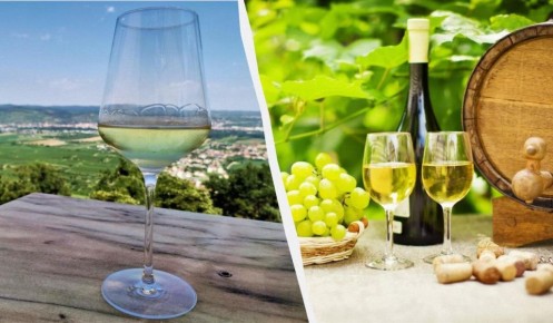 ������ ���� ����� ����: ��� ���������� � ����� �����?