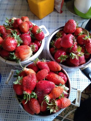 ��� ������� ��������� ������ ��� ��������: ������������ ������ ��� ��������