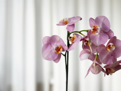 ������ ������ � ��������: ��� ������ �������� ������ � �������