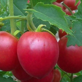 ����� ������: ��������� ����� ��� ����� ��������� � �������