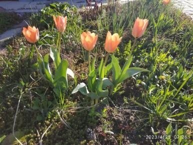 ����� � ������: ��� 8 ����� ����������� � ����������