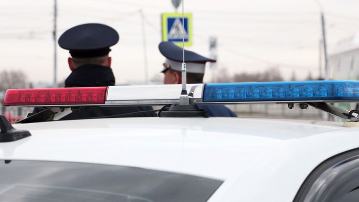 Стало известно, за сколько можно купить поддельное водительское удостоверение