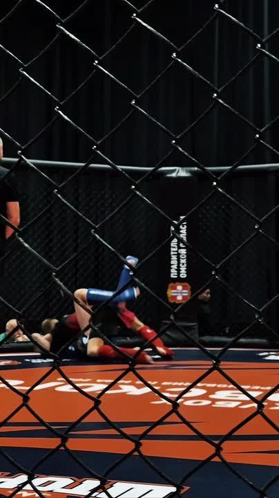 ������ ������ �.�. �����������-2026� ���������!