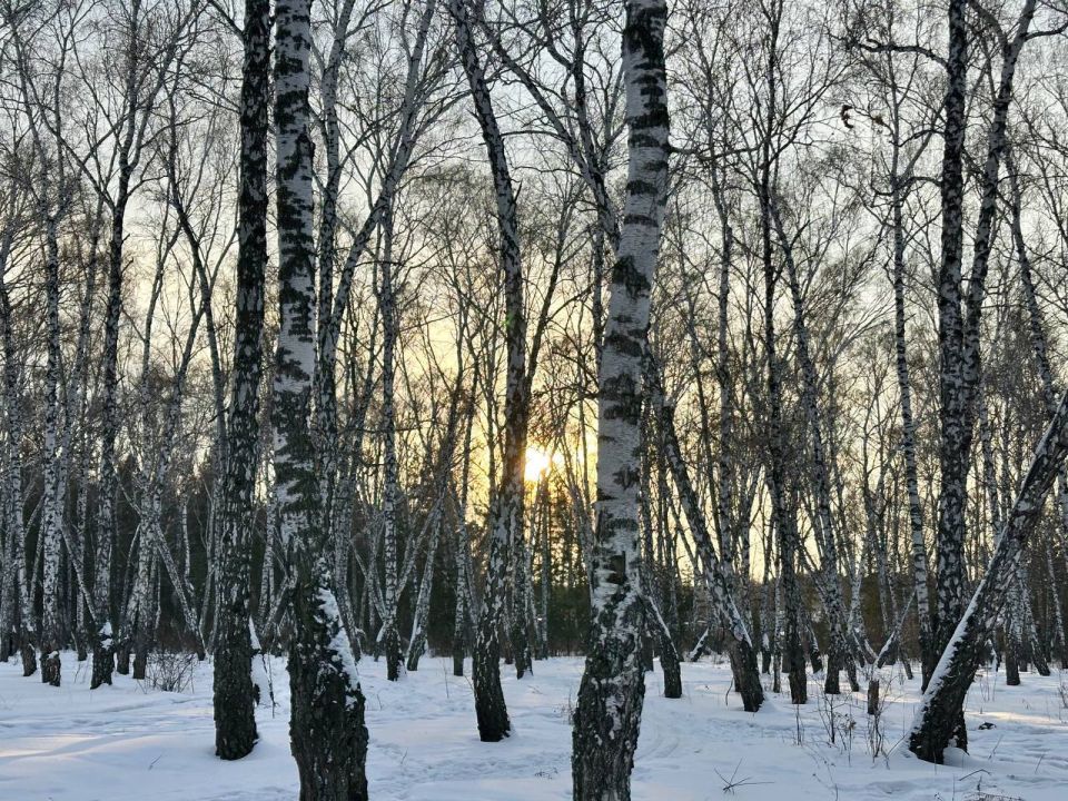 � ������ ������� ��������� �� 0 �C � ����� � ���������� �� �������