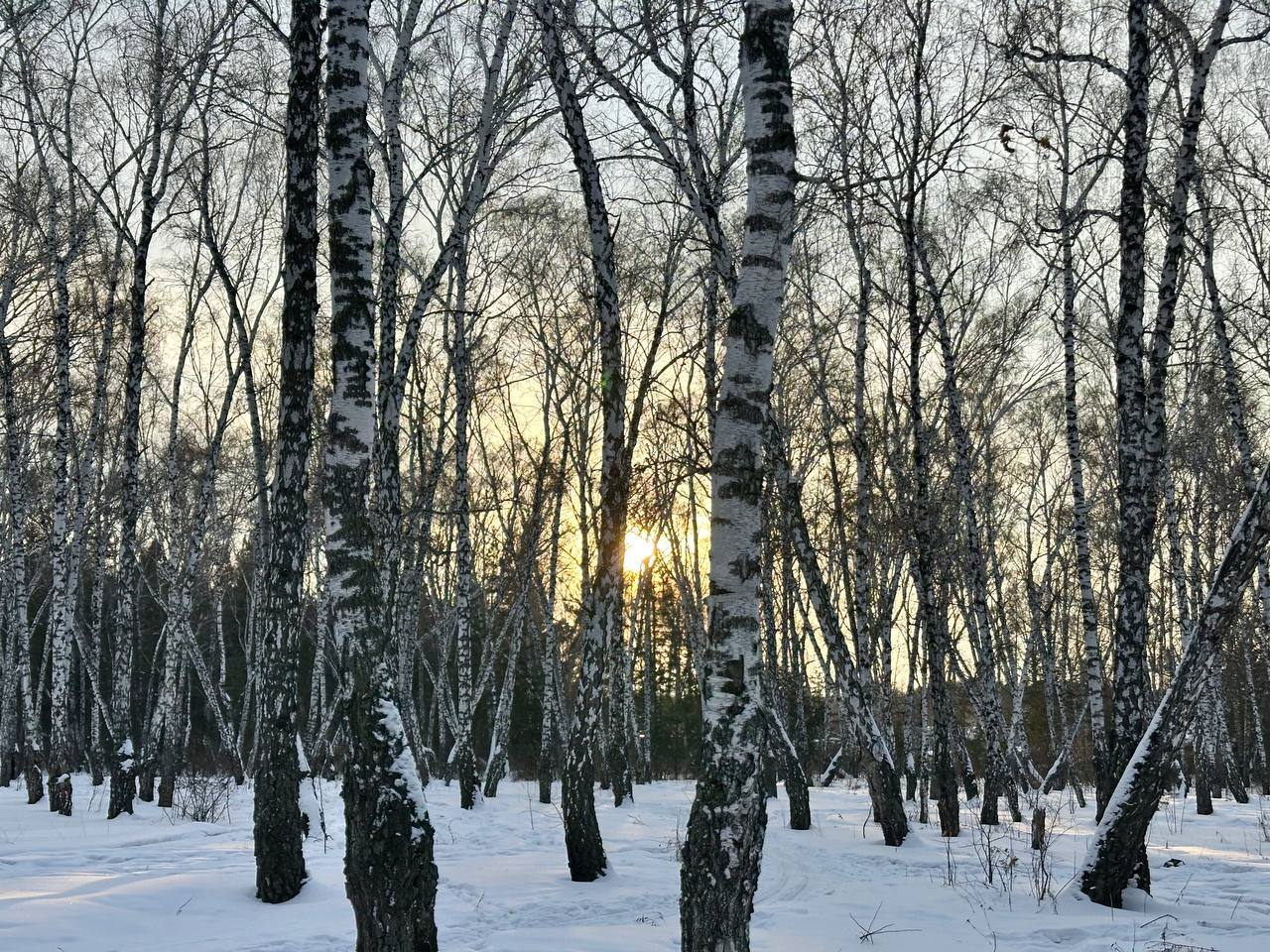 В Омской области потеплеет до 0 °C – дождь и гололедица на подходе