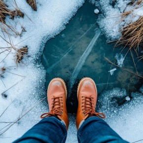 ��������� ���� ������ ���������� �� ����, ���������� ����������� ������������������